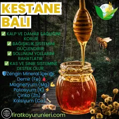 Kestane Balı 1kg